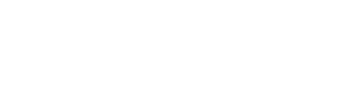 Cruise Ship